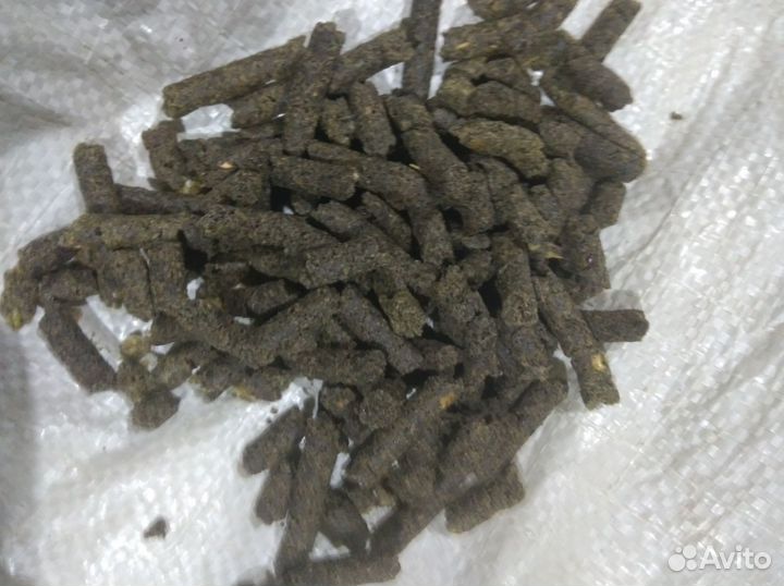 Соя полножирная