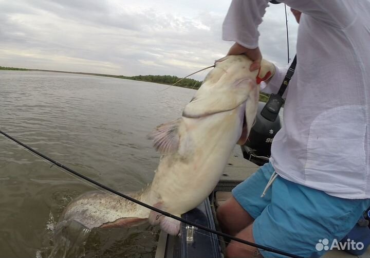 Рыбалка с гидом Нижняя Волга
