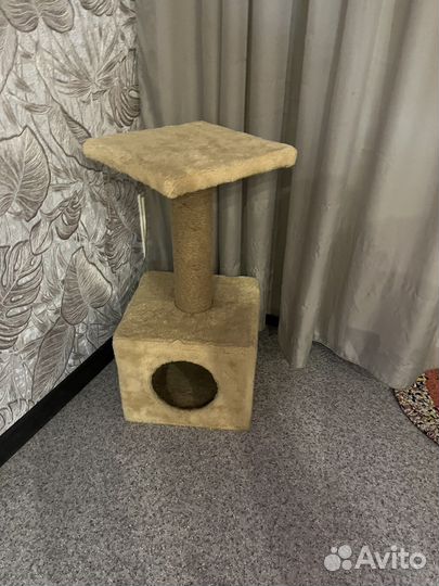 Когтеточка