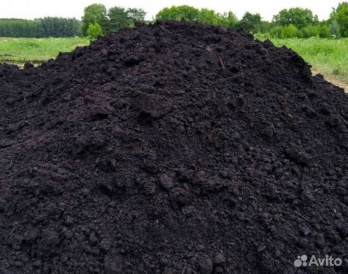 Чернозём