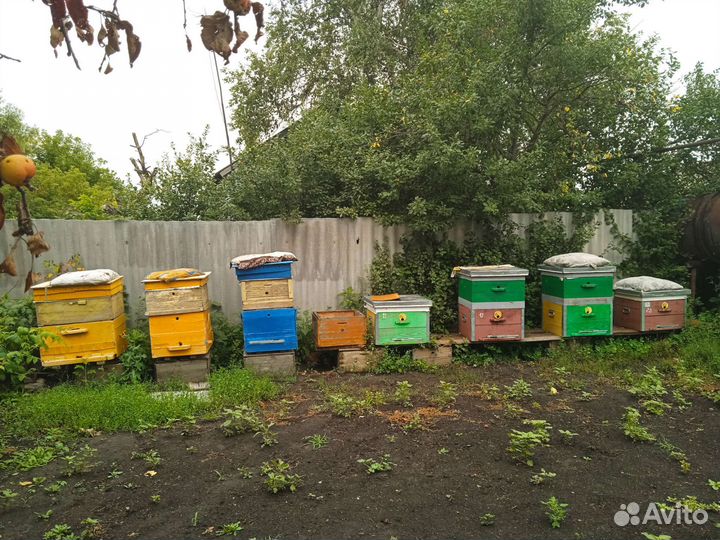 Улей для пчел