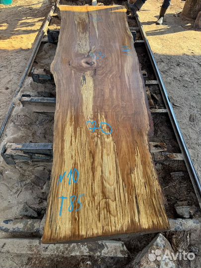 Вековые слэбы мраморного чинара в наличии