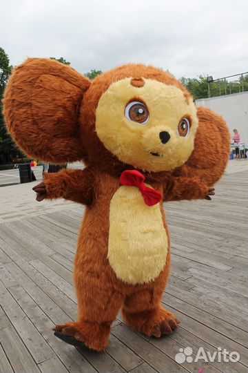 Аниматор на праздник/Живая открытка/Ростовая кукла