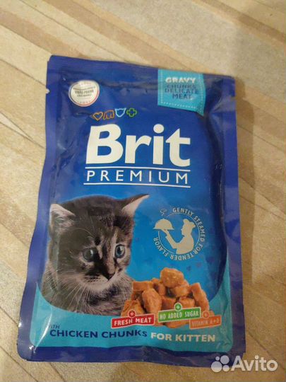 Влажный корм для котят Brit premium