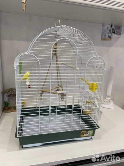 Клетка для попугая