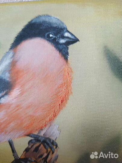 Картина маслом птица 20*20