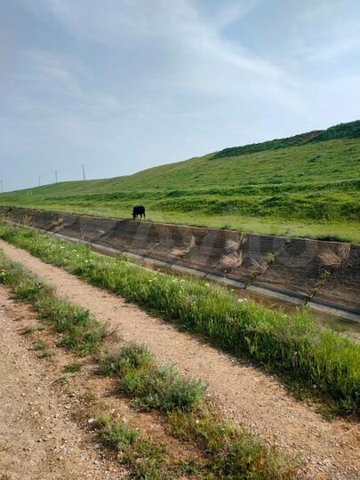 Участок 8 сот. (ИЖС)