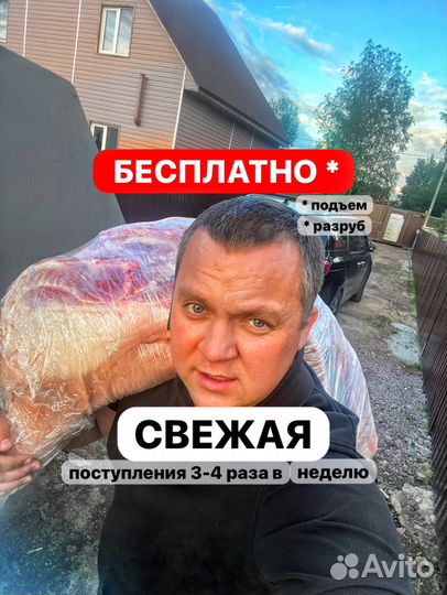 Парная свиная полутуша разделка от 35 кг Кингисепп