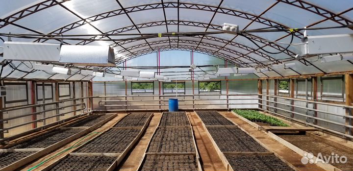 Тепличное хозяйство, теплица