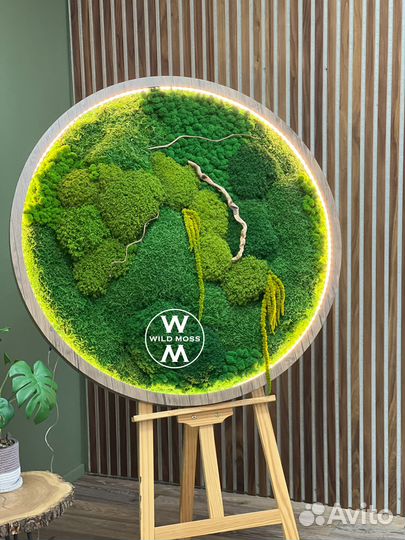 Панно, картина из стабилизированного мха и амарант