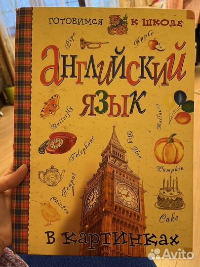 Книга Английский язык в картинках