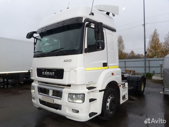 КамАЗ 5490 NEO, 2017