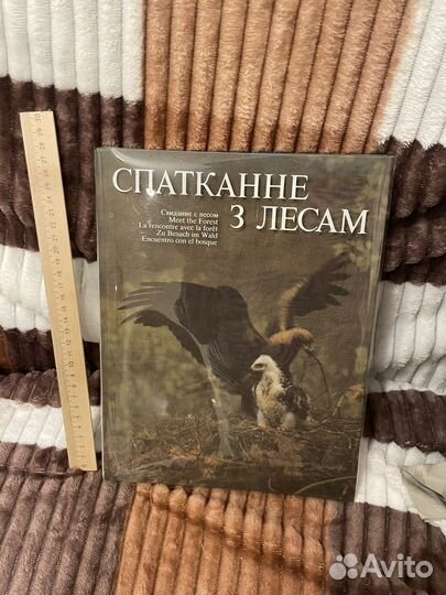 Книга свидание с лесом