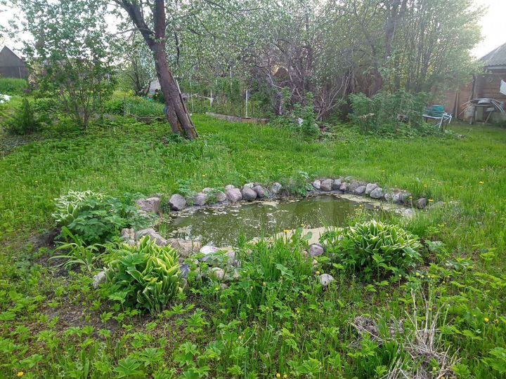 Дом 25 м² на участке 17 сот.