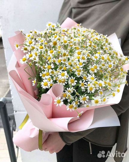 Ромашки Букет из ромашек доставка