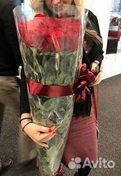 Розы Букеты Цветы Розы 31 101 151 201 Доставка