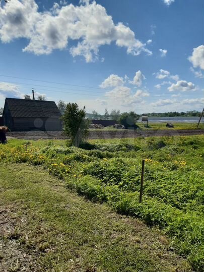 Участок 8 сот. (ИЖС)
