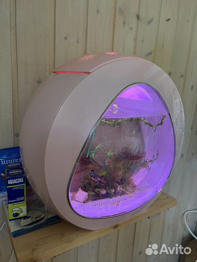 Аквариум