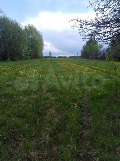 Участок 25 сот. (СНТ, ДНП)