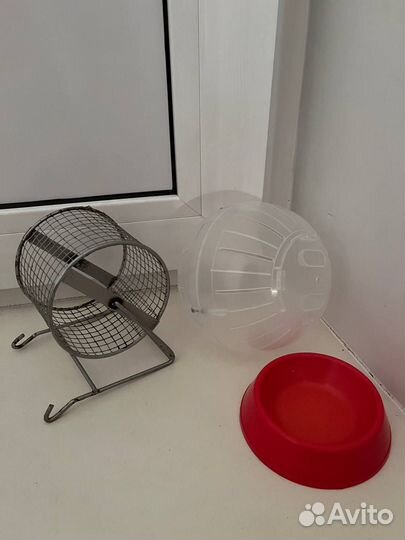 Все для хомяка