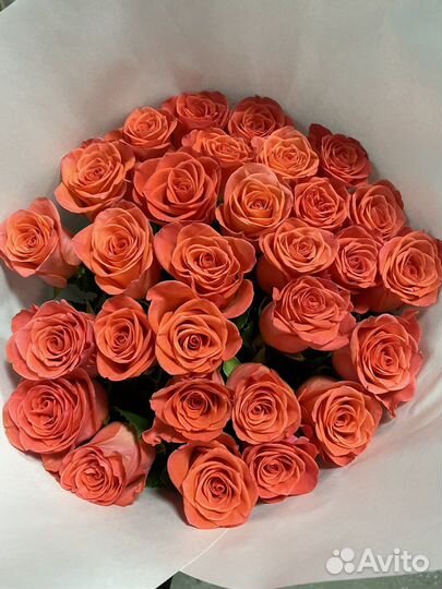 Необычные Коралловые розы в букете от 15шт