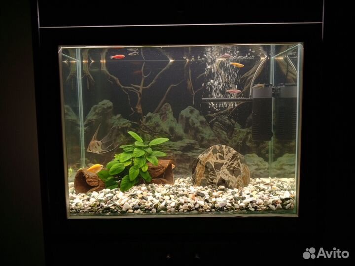 Аквариум со всеми принадлежностями и рыбками