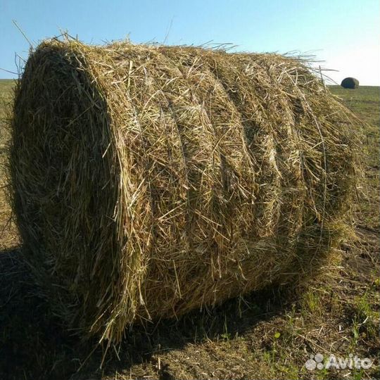 Сено в тюках