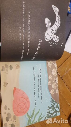 Книжки и игра с фонариком