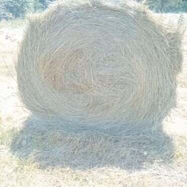 Продам сено в рулонах