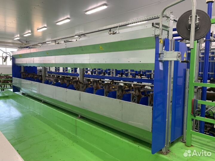 Оператор машинного доения