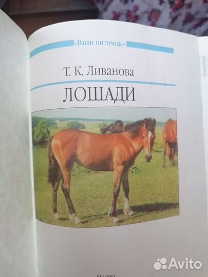 Книга Лошади Т.К. Ливанова