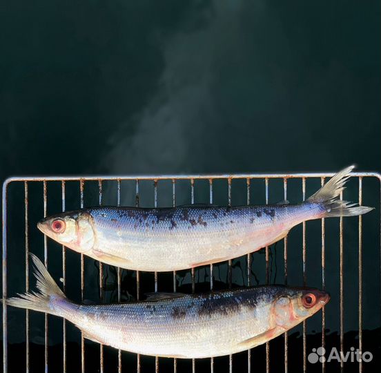 Рыба (омуль, сиг, хариус)