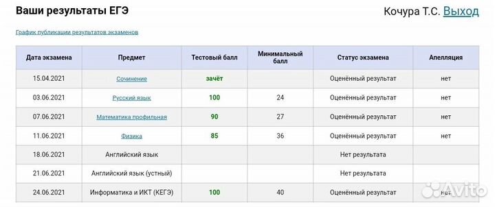 Репетитор из МГУ информатика ЕГЭ (в т.ч. резерв)