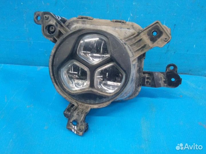 Фара противотуманная правая Kia Optima IV 2016