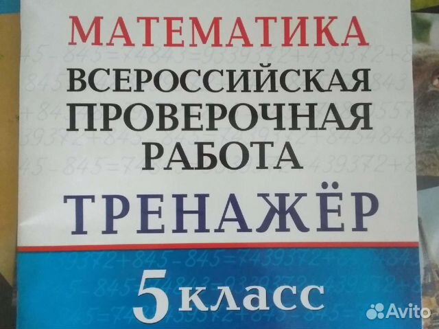 Впр тренажер 6