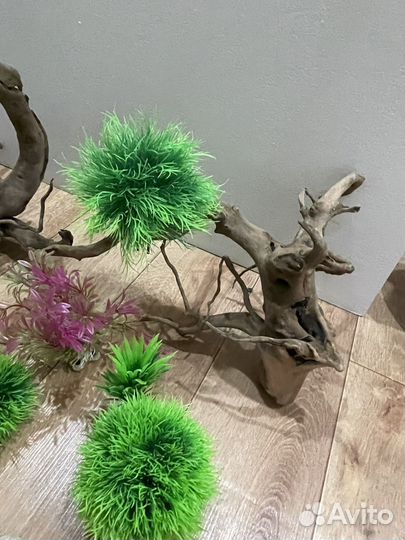 Коряги и декор