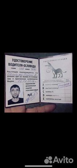 Удостоверение шуточное