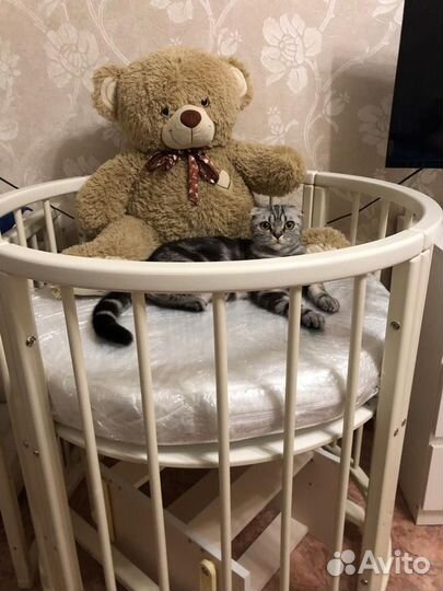 Матрац для круглой кроватки детский