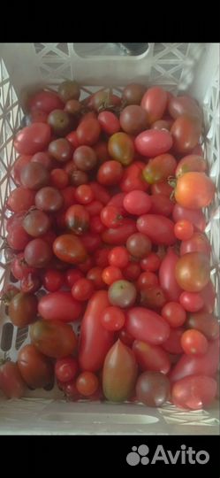 Кабачки цукини