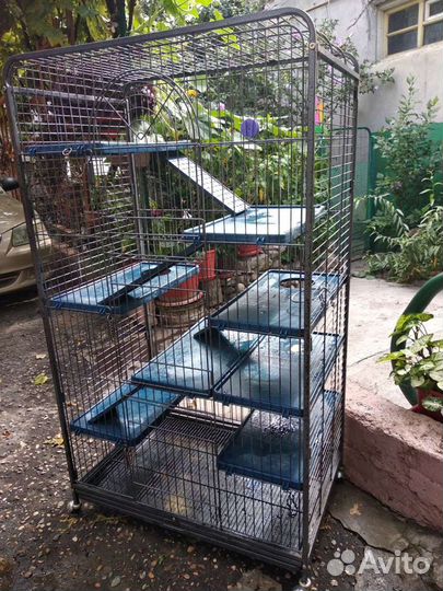 Клетка металлическая