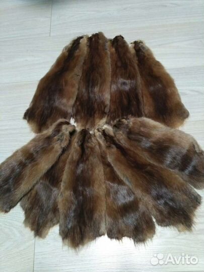 Шкурки ондатры 10шт