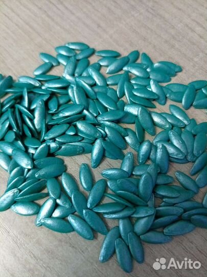 Самый лучший гибрид огурца из Испании Бэрд F1