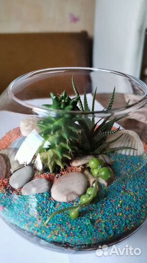 Флорариум с суккулентами 