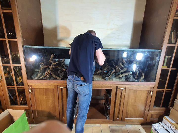 Запуск, дизайн, обслуживание аквариумов