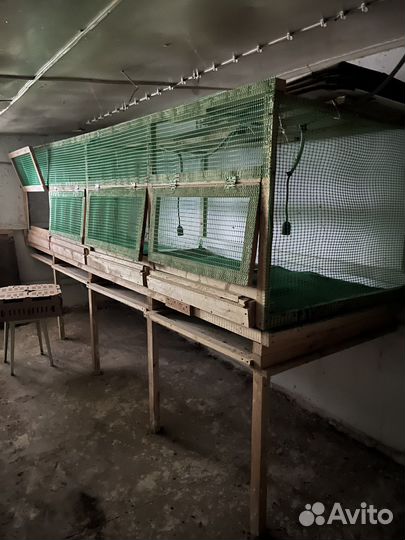 Клетки для цыплят