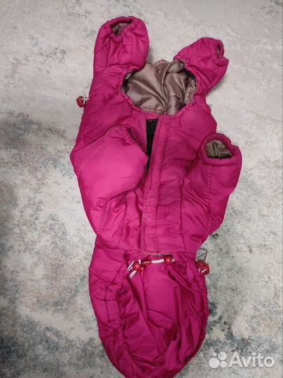 Зимняя одежда для собаки