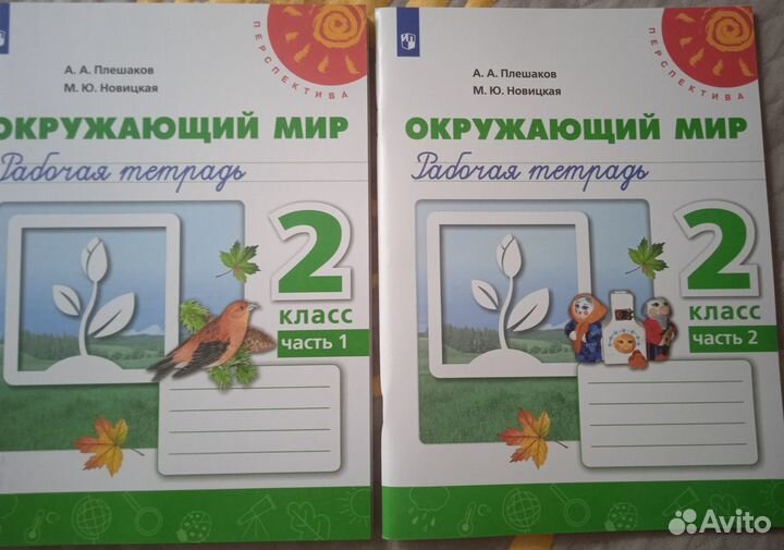 Рабочая тетрадь 2 класс математика, окружающий мир