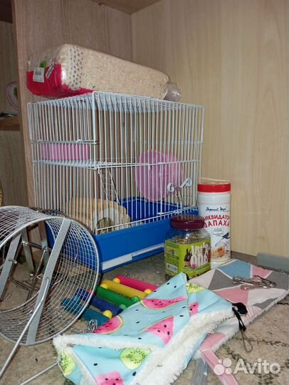 Товары для грызунов