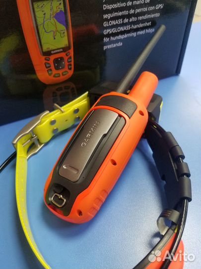 Garmin alpha 50 c ошейником T5X
