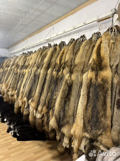 Шкуры волков